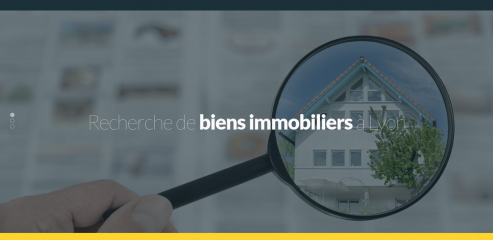 https://www.lyon-immobilier.net/